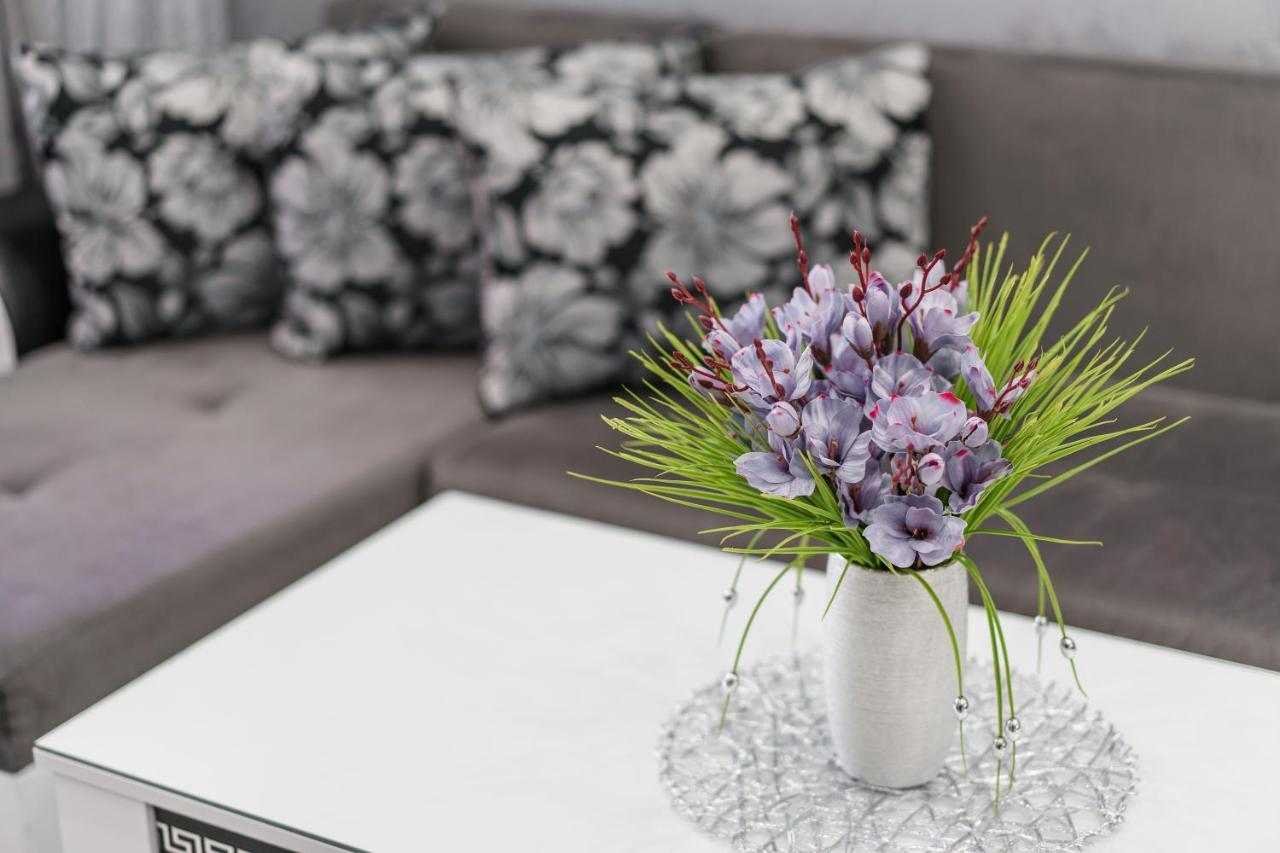 City Apartments - A Brand New Luxury & Comfy 2 Asenovgrad Exteriör bild